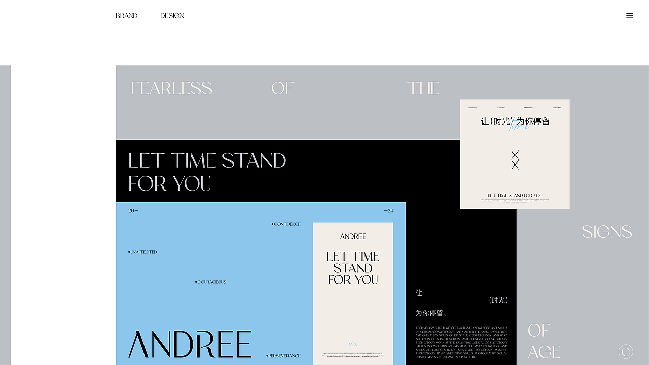 品牌全案设计 | 安芮医美ANDREE·医美品牌·LOGO（图ZMzYzNTcxOTgw） - 品牌 - 站酷设计师周玛慧子原创素材 - 站酷ZCOOL