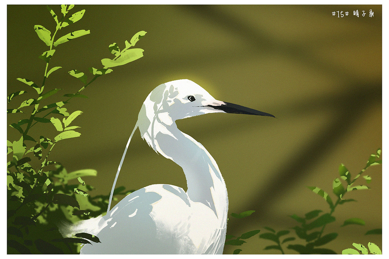 【色彩班长】色彩练习20天总结一