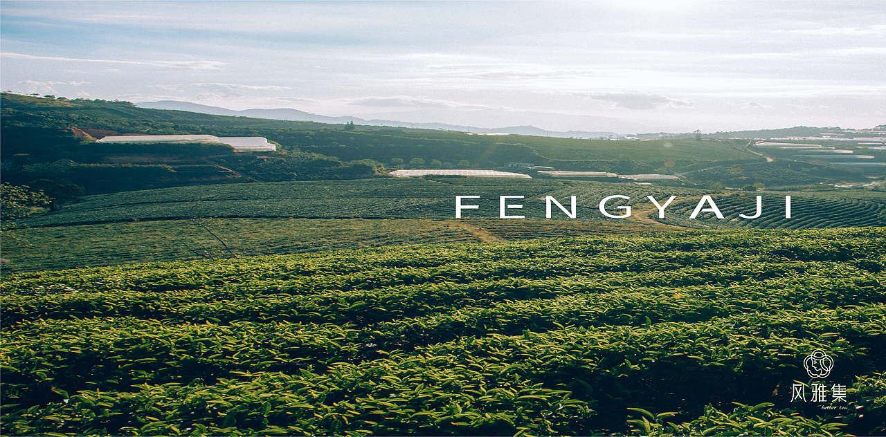 风雅集新中式茶饮