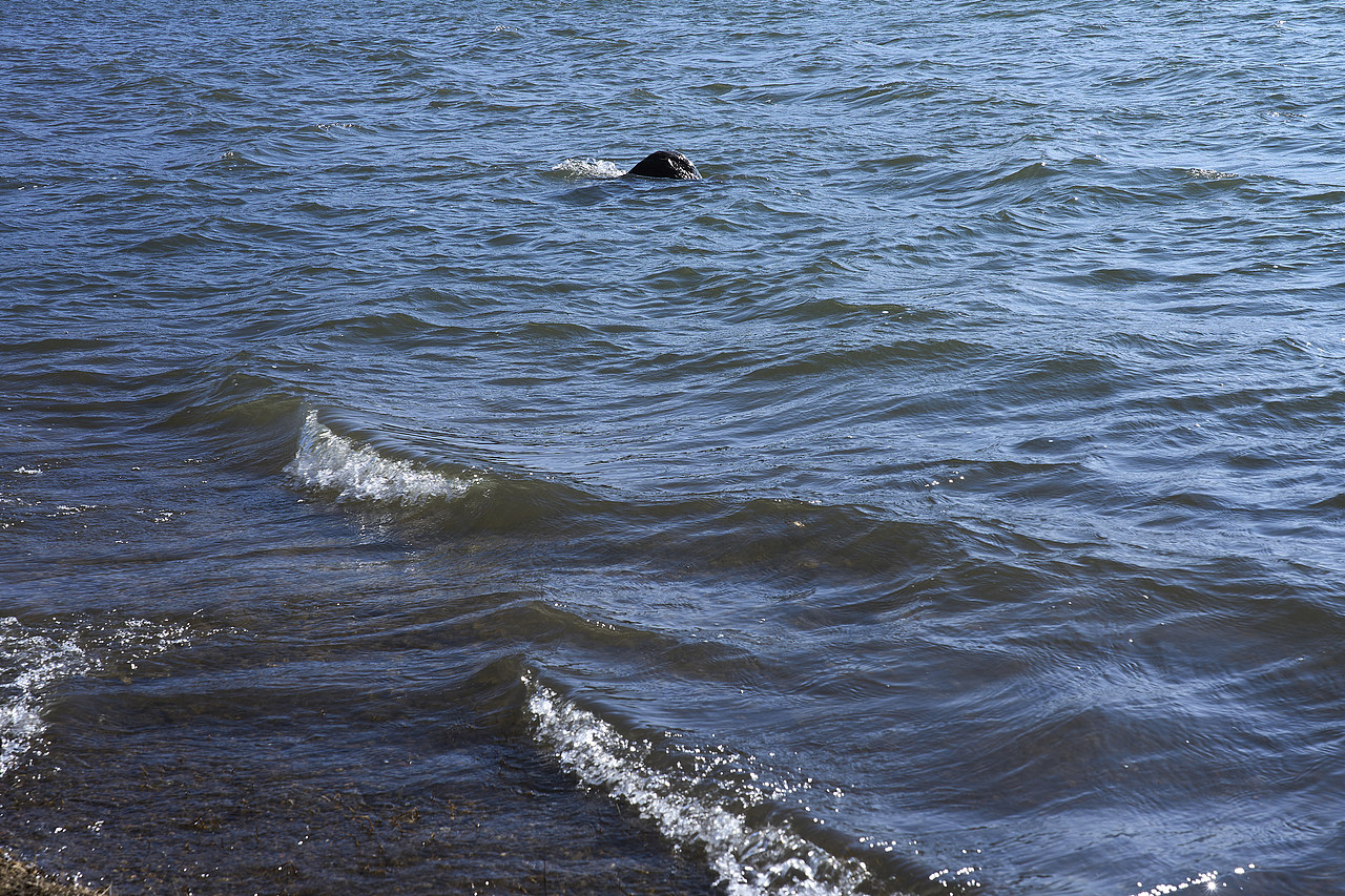 日常（图ZMzM0NzUwMjA0） - 人文/纪实摄影 - 站酷设计师大只秋原创素材 - 站酷ZCOOL