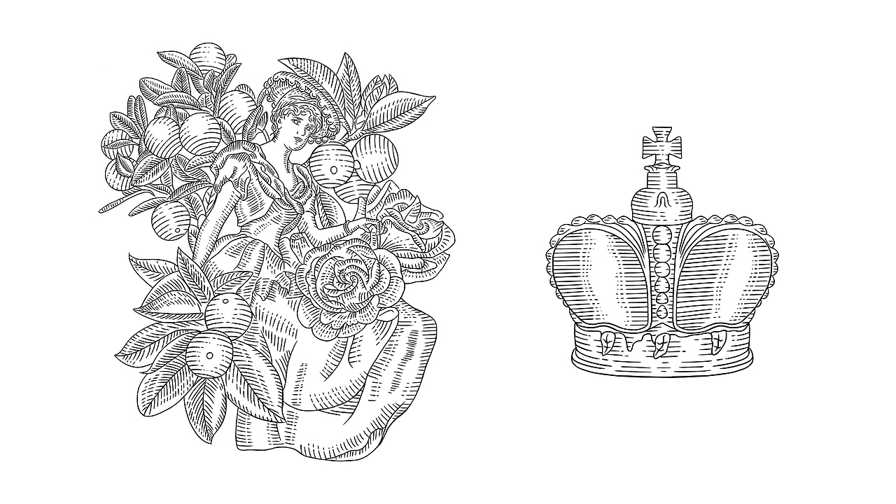 版画香水包装 插画设计（图ZMzAyNDM0NDUy） - 商业插画 - 站酷设计师要强的废废原创素材 - 站酷ZCOOL