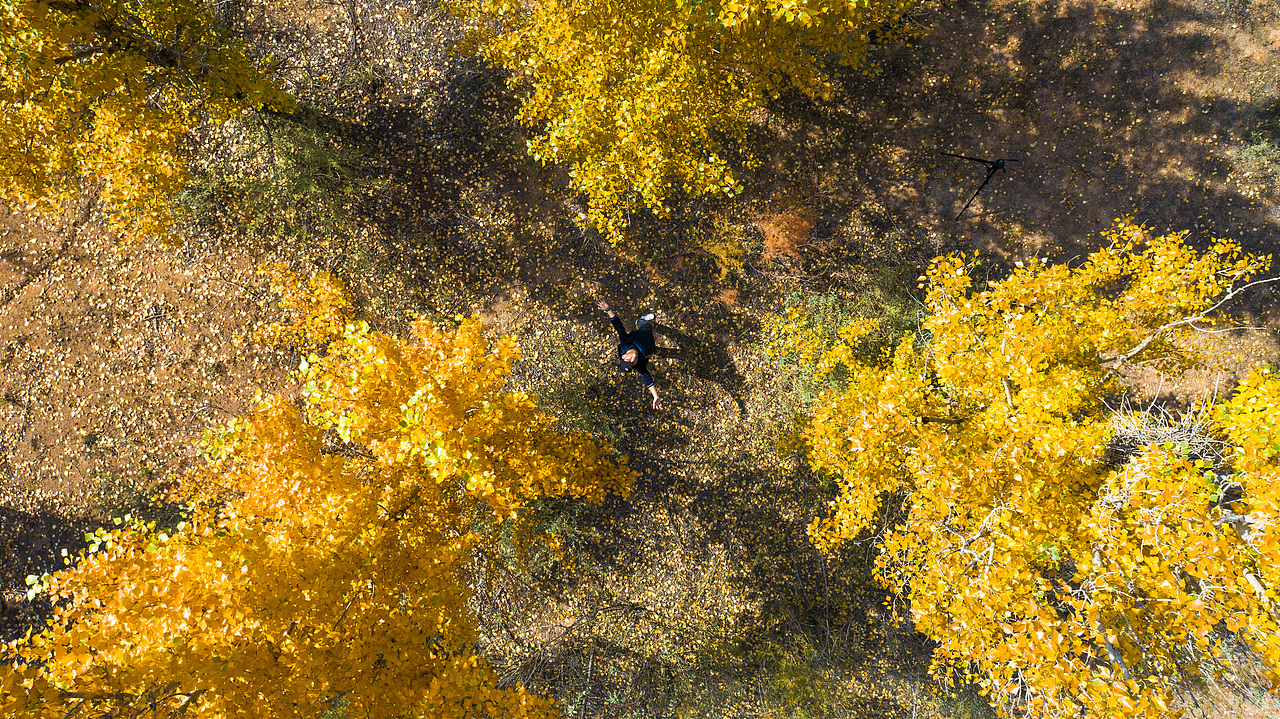 西北的秋（图ZMzUyODYyODc2） - 风光摄影 - 站酷设计师Tol去发现美原创素材 - 站酷ZCOOL