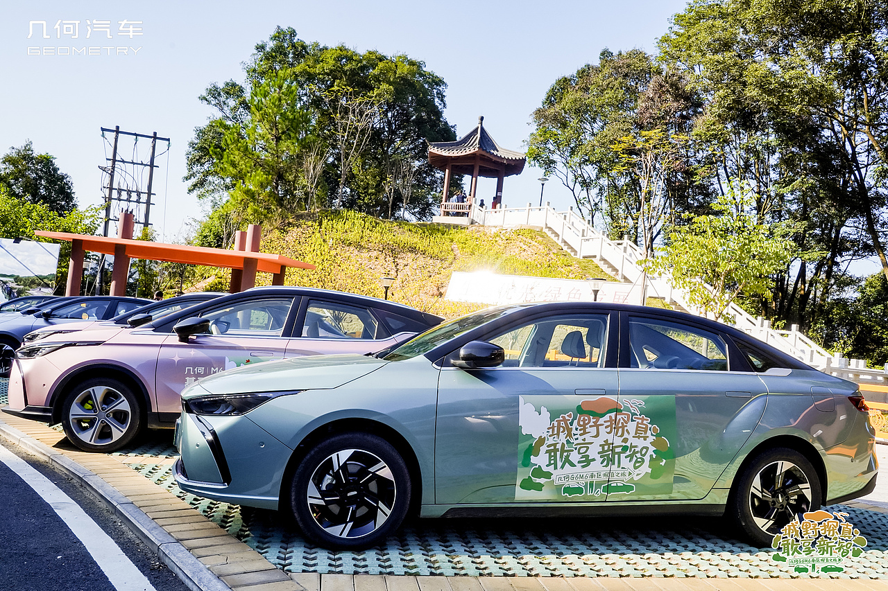 真智能 真安全 真续航 几何G6/M6南区双车上市