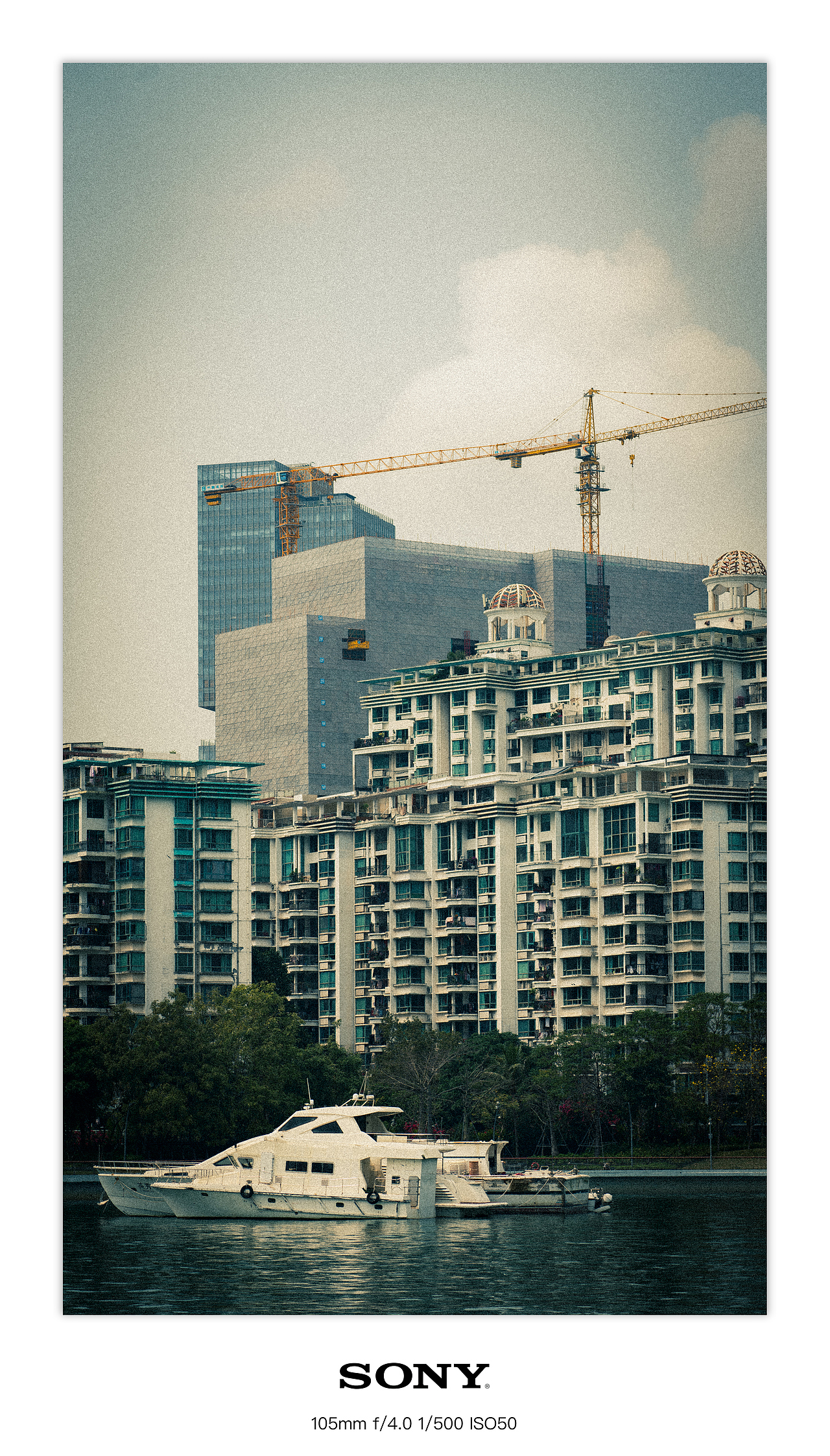 拍点什么好呢~（图ZMzY0NDQ5OTk2） - 其他摄影 - 站酷设计师啊啵痴嘚饿浮鸽原创素材 - 站酷ZCOOL