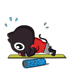 嘻动猫健身器材品牌吉祥物设计卡通形象设计动态表情包