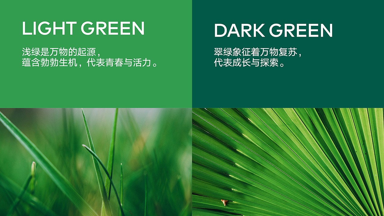 万象蒙泰教育集团