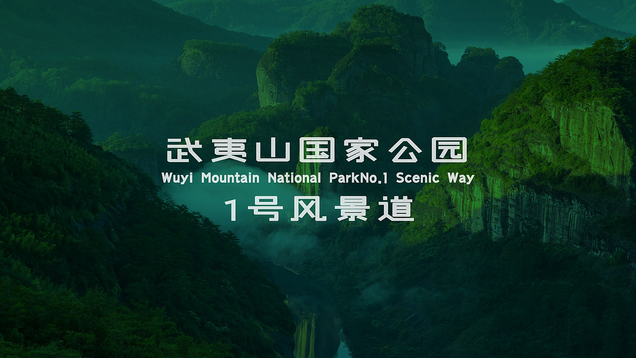 静，在武夷， 一路由你，随心而动