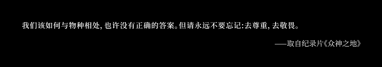 IP设计 | 相框里的动物（可授权）（图ZMzU1NTMxNDAw） - 人物/生物 - 站酷设计师涵堡酱原创素材 - 站酷ZCOOL