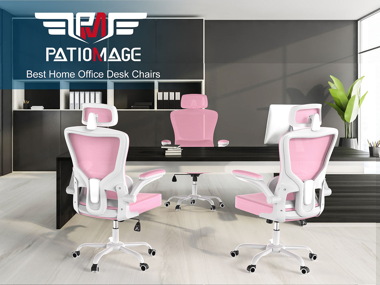 家居办公用品：椅子（图片）