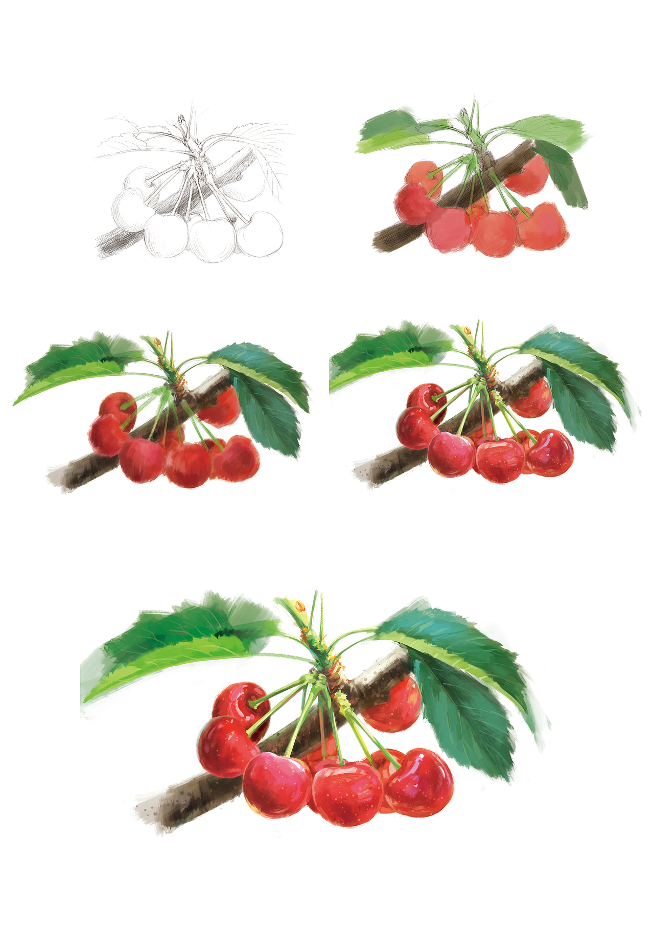 红了樱桃（图ZMzIxMTM5ODYw） - 创作习作 - 站酷设计师断水牛大狮凶原创素材 - 站酷ZCOOL