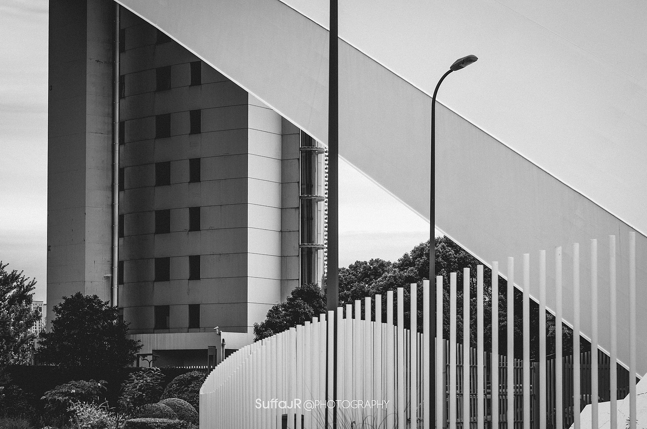 街头摄影 I 世博公园&滨江