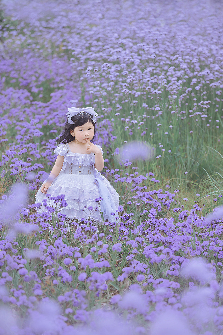 紫色的不一定是薰衣草