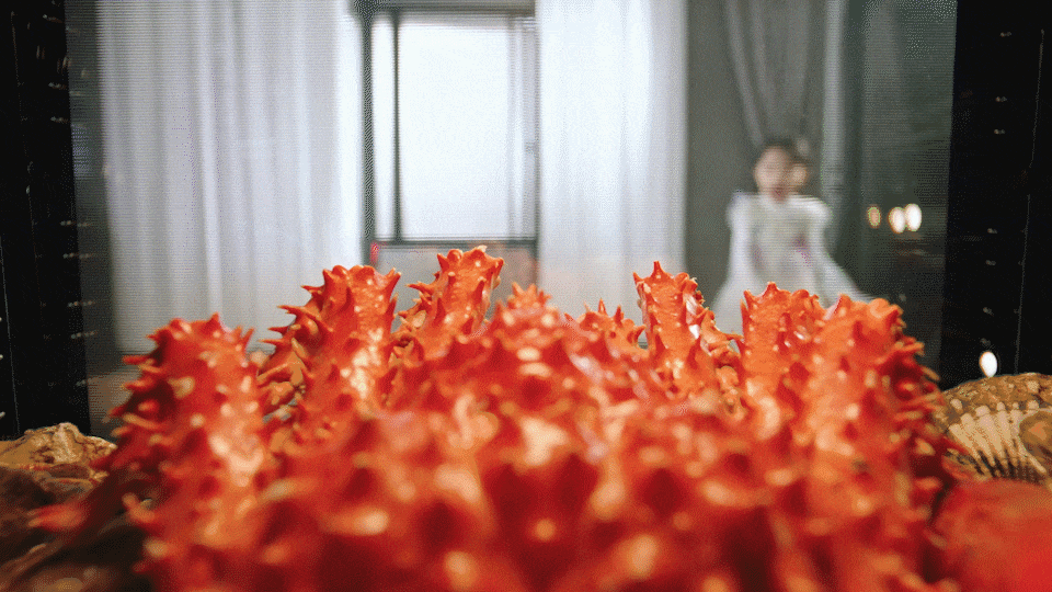 创意TVC丨大家电 老板电器集成灶 产品视频 ⤬ 乐趣