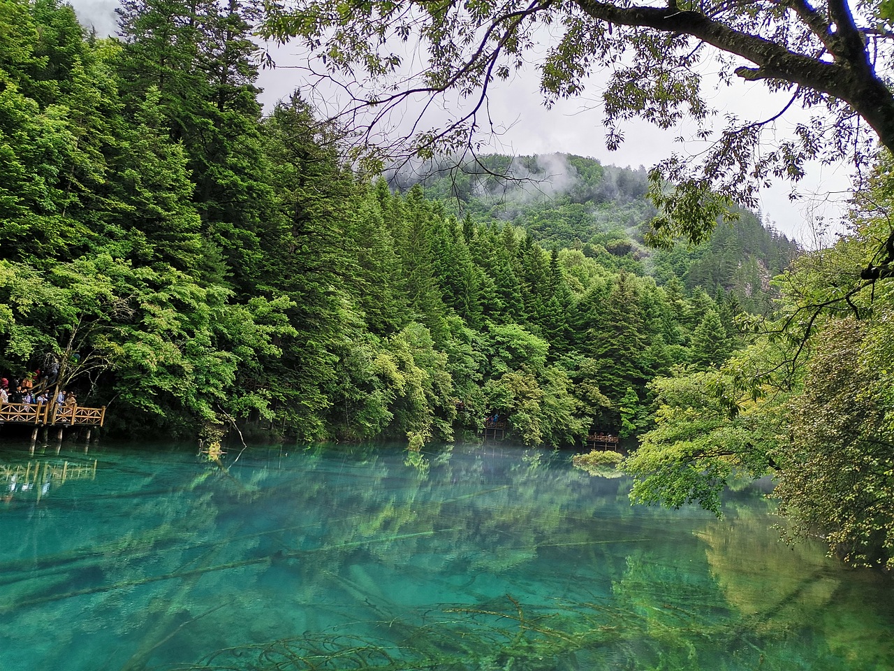 五彩缤纷九寨沟（上）