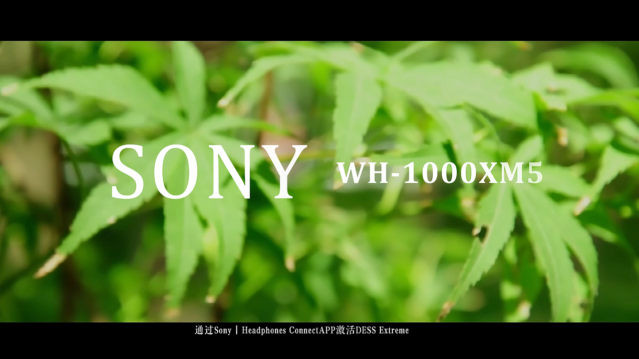 SONY耳机