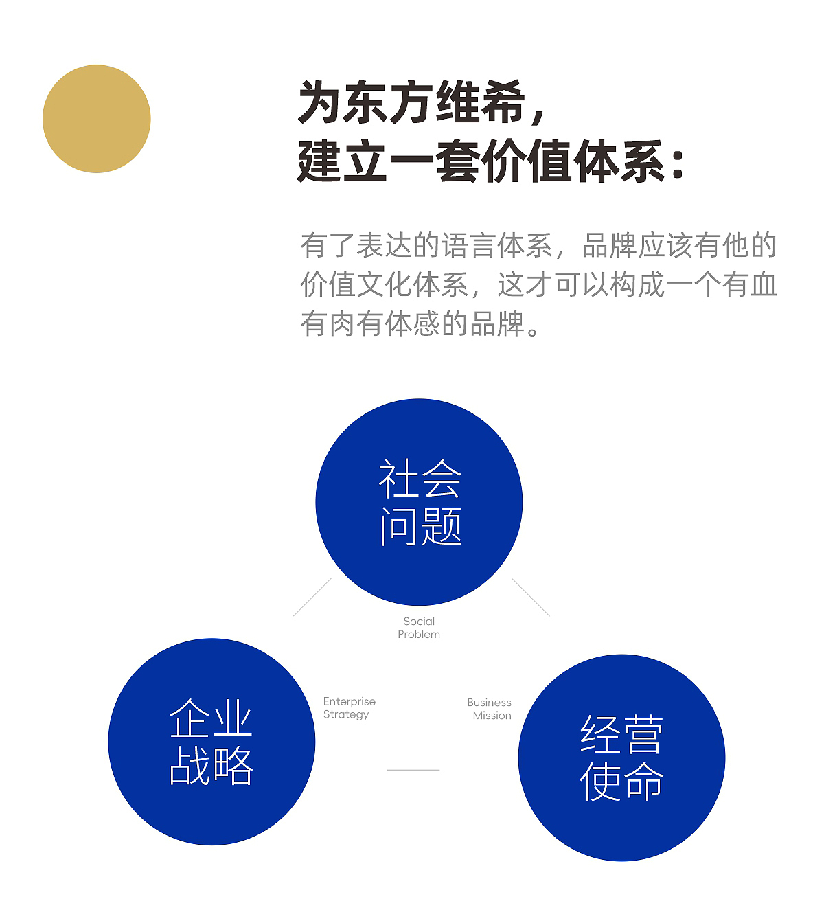 视维 × 东方维希 | 品牌全案设计案例