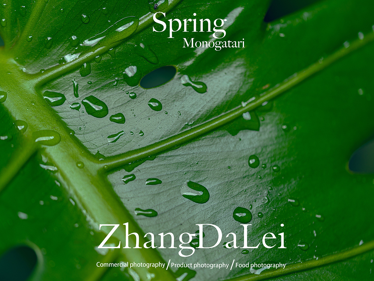 春天物语（图ZMzY2MzgwOTky） - 其他摄影 - 站酷设计师子菲门视觉原创素材 - 站酷ZCOOL