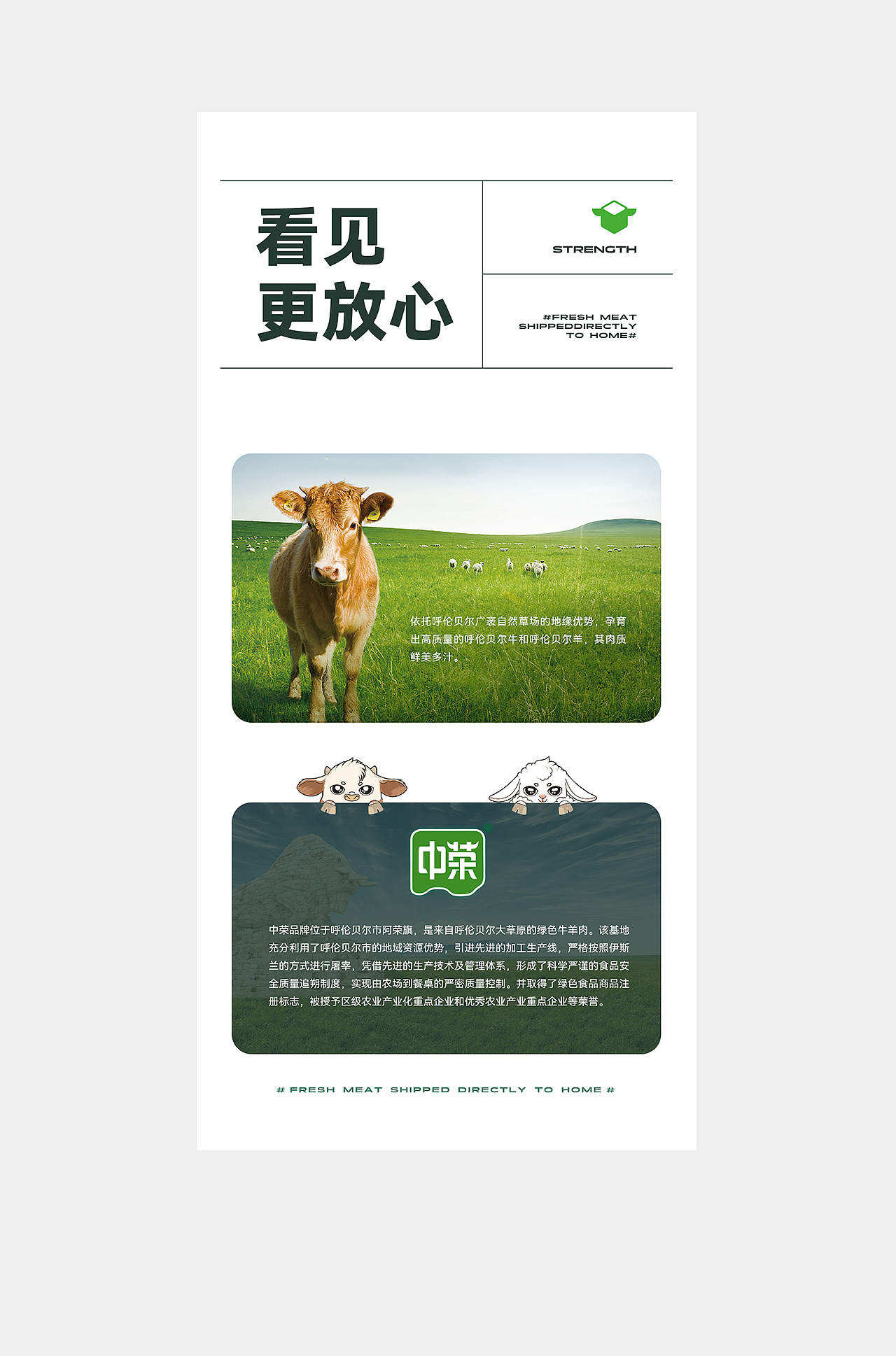 波点视觉X中荣品牌全案升级