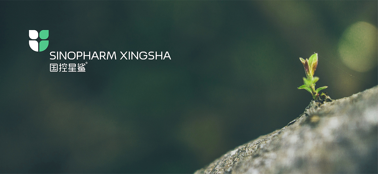 LOGO升级丨国控星鲨品牌形象升级(图ZMjk3MDIxNzM2) - Logo - 站酷设计师李大帅Design原创素材 - 站酷ZCOOL