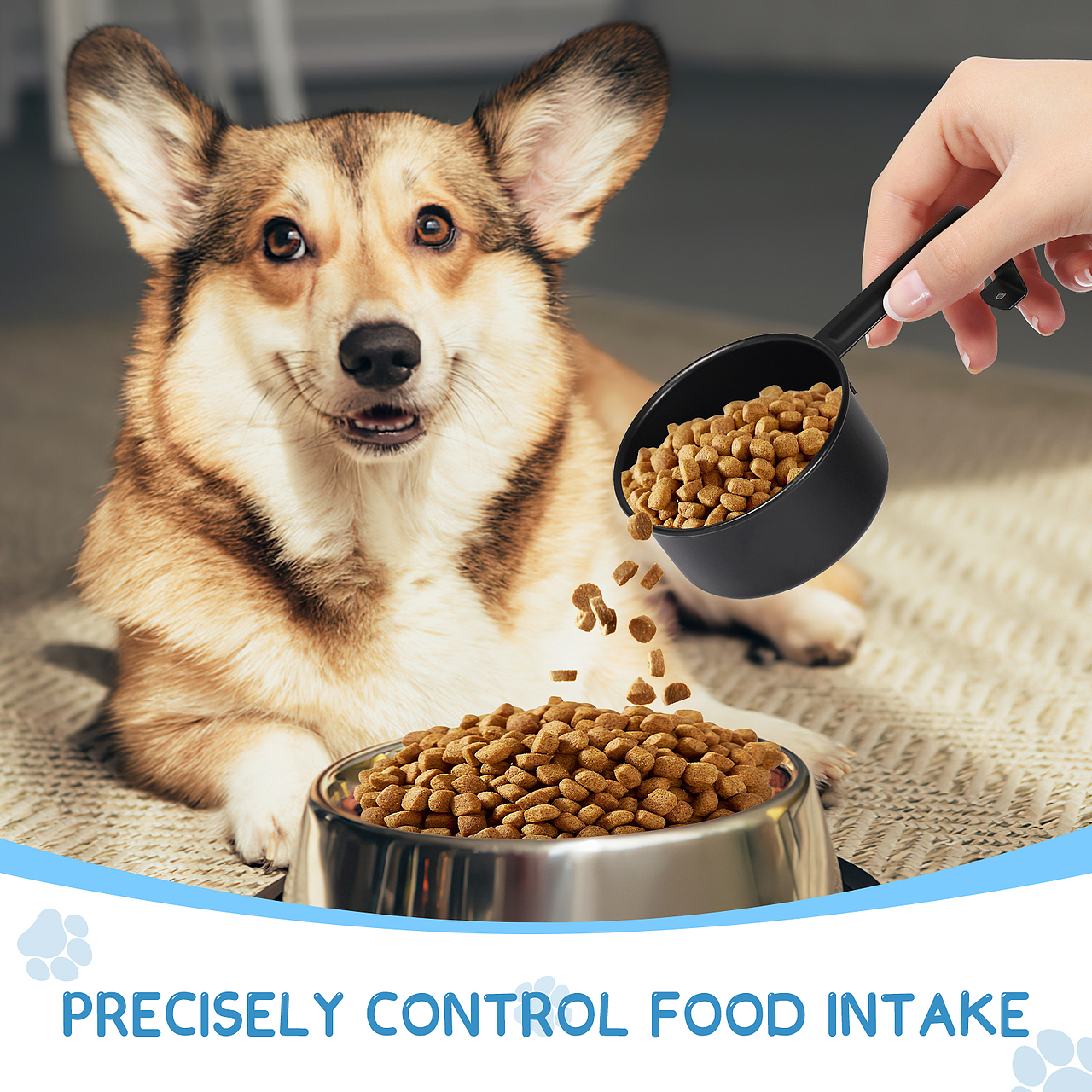 亚马逊宠物用品类目储物罐产品拍摄主图A+图片设计（图ZMzY1MTE1NDY4） - 其他平面 - 站酷设计师陈小小2333原创素材 - 站酷ZCOOL