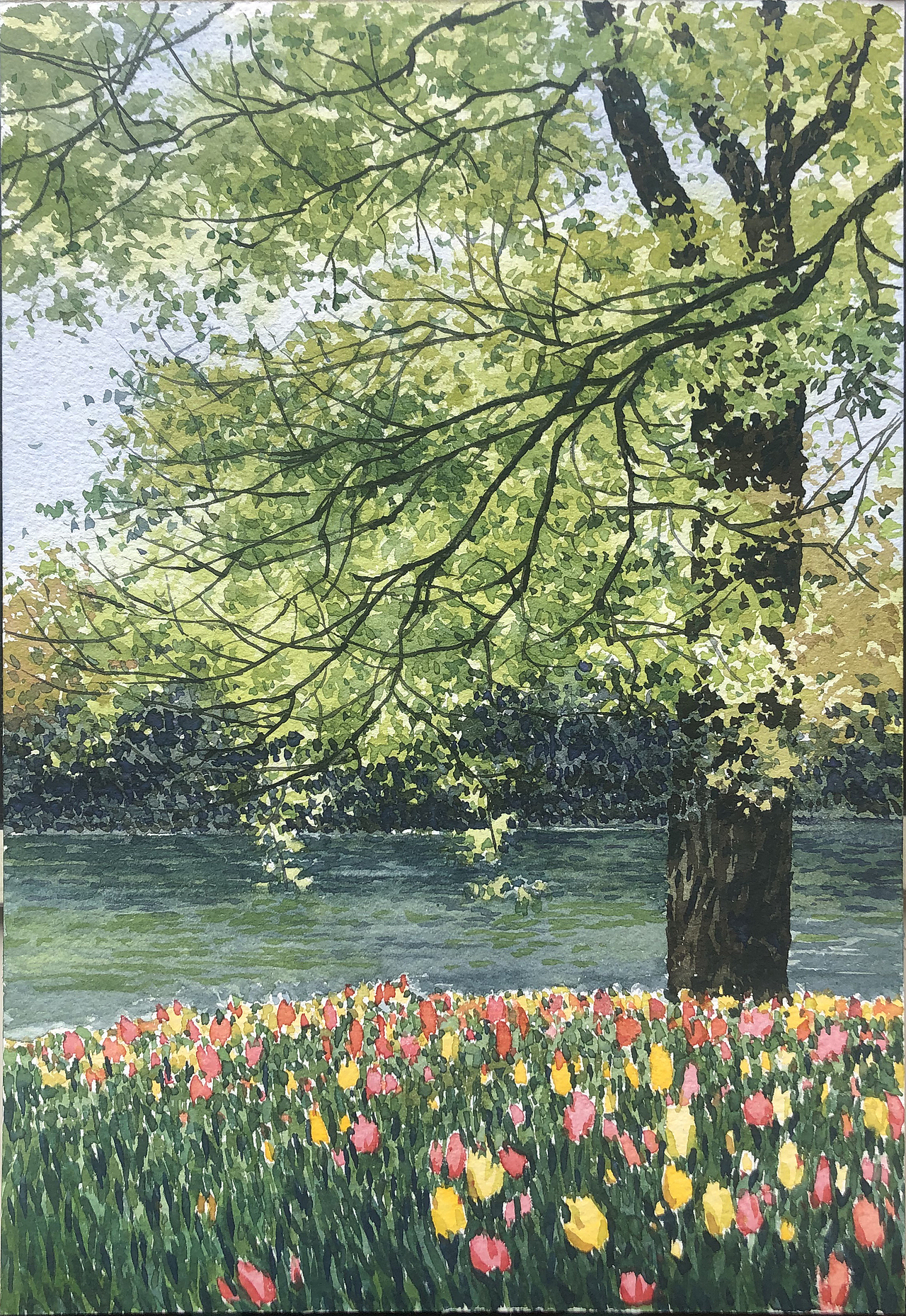 2022——水彩作品集(总结)