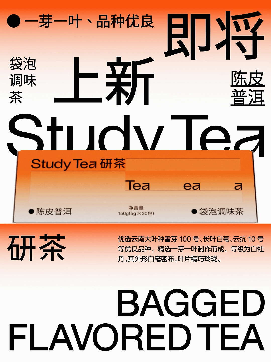 Study Tea 研茶丨茶饮品牌包装设计