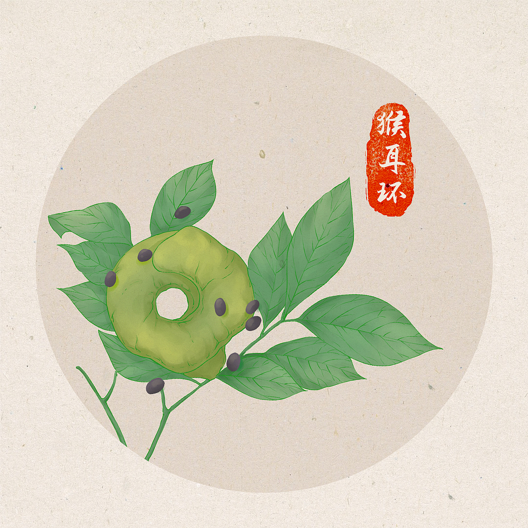中药如画（图ZMzMxNjExMTUy） - 商业插画 - 站酷设计师对裳亭晚原创素材 - 站酷ZCOOL