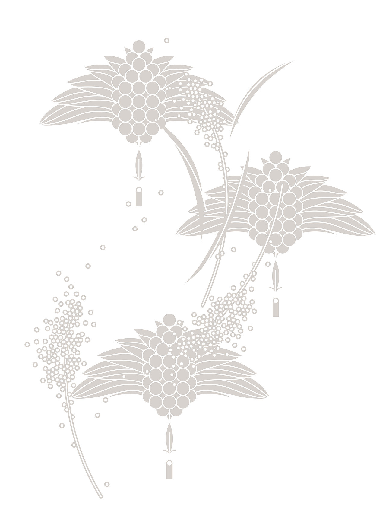 CENO奇若品牌设计（图ZMzI3NTI3MDk2） - 品牌 - 站酷设计师吾苍山原创素材 - 站酷ZCOOL