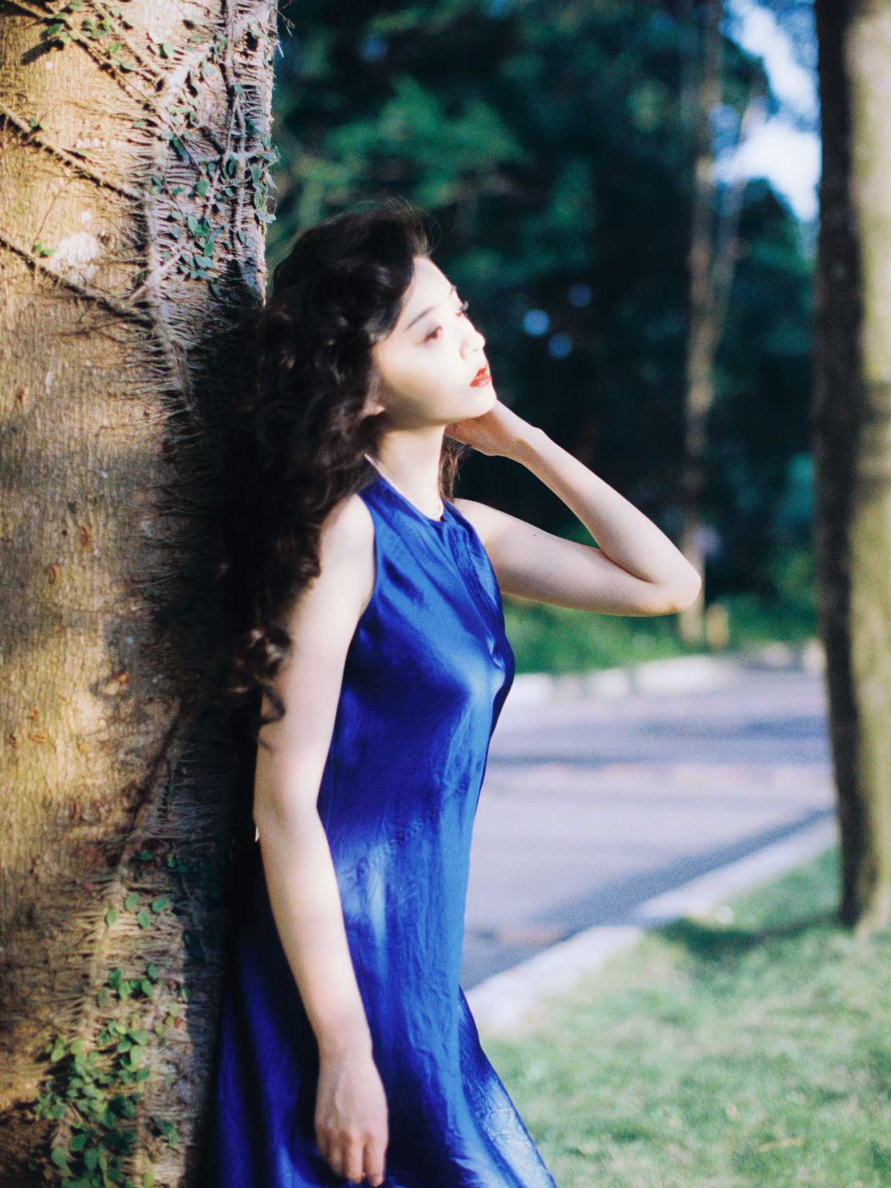 微风不噪,阳光甚好