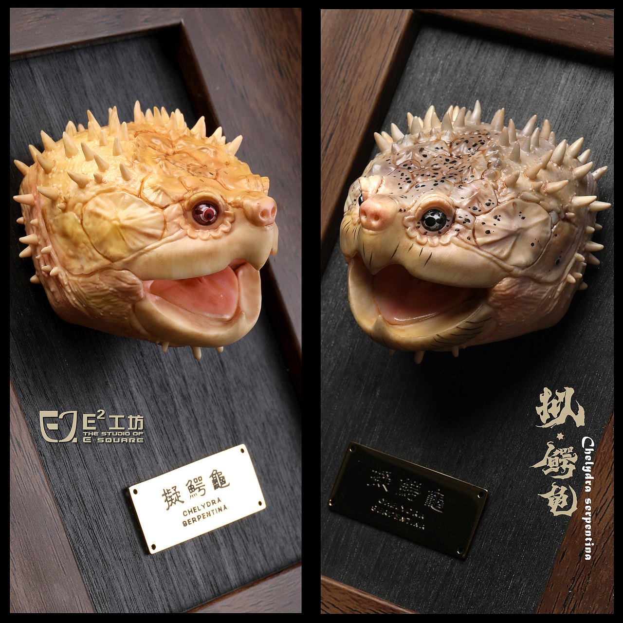 2023鳄龟系列--拟鳄龟(图ZMzU1MzQ1MTk2) - 手办/模玩 - 站酷设计师胡狼原创素材 - 站酷ZCOOL