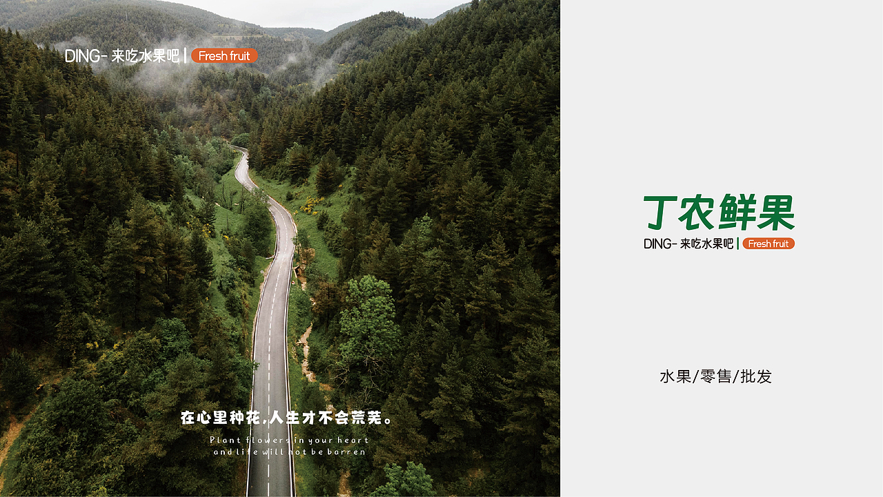 年度的作品集整理