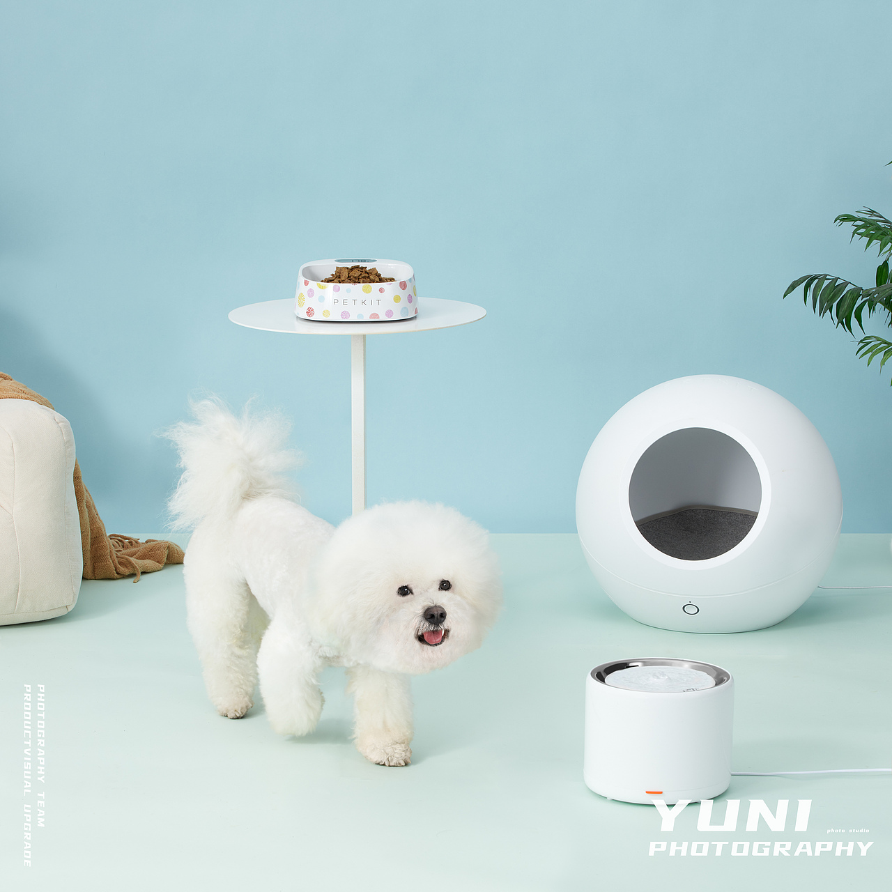 天猫.猫享自营 ✖ YuNi  宠物频道合集