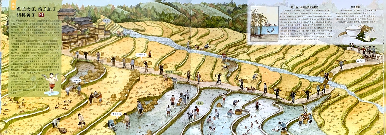 献给孩子的农耕文明画卷（图ZMzY2OTI5NjI0） - 儿童插画 - 站酷设计师石子儿绘本工作室原创素材 - 站酷ZCOOL