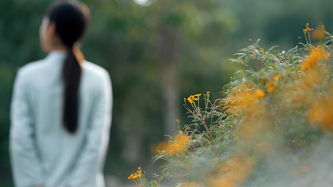 厦门大帽山镜视频号成品