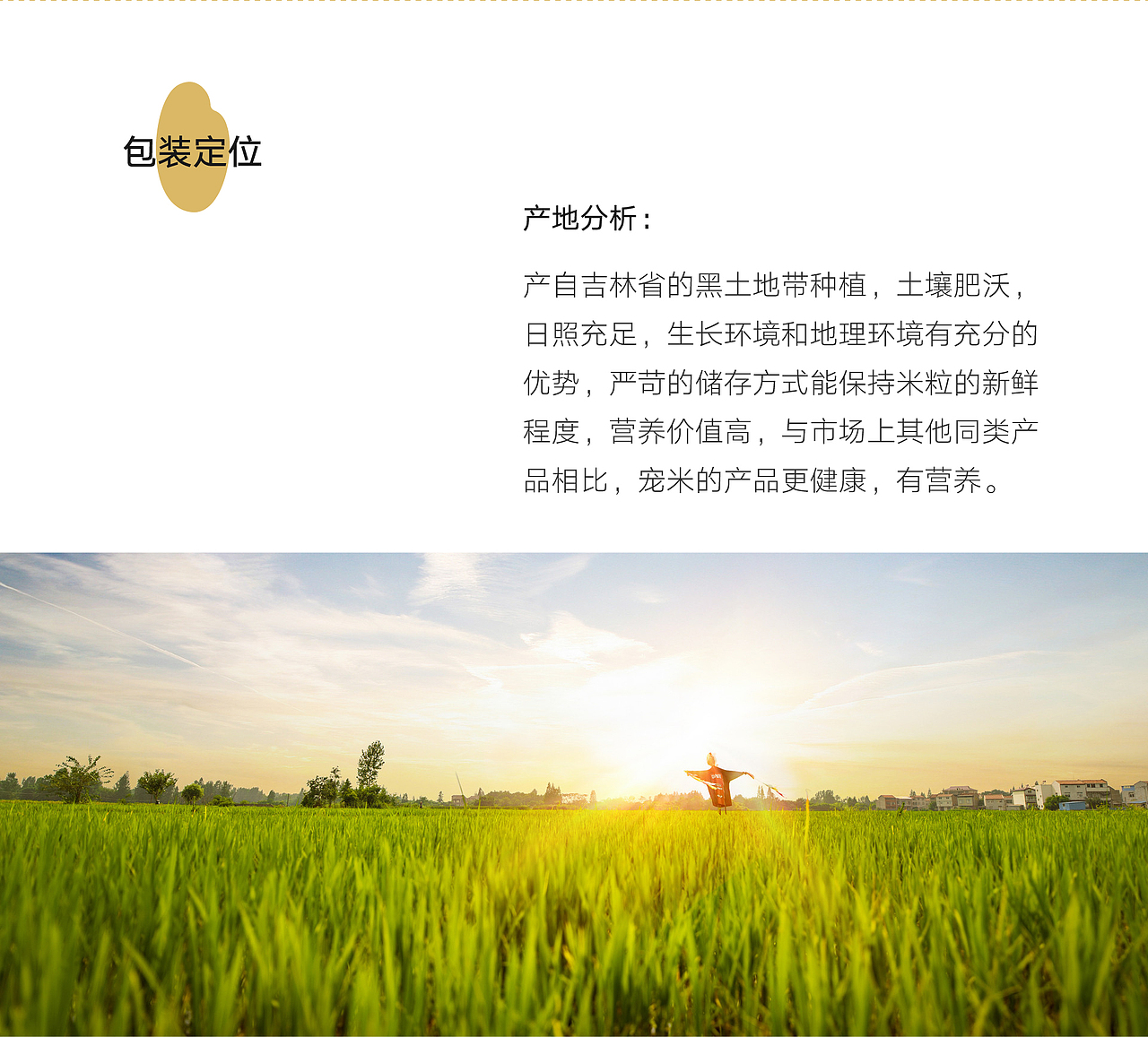 大米包装设计/有机食品包装/大米品牌设计