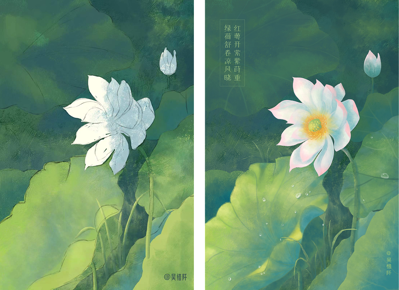 一池荷花（图ZMzQyMjM5NzA4） - 商业插画 - 站酷设计师惜阡原创素材 - 站酷ZCOOL
