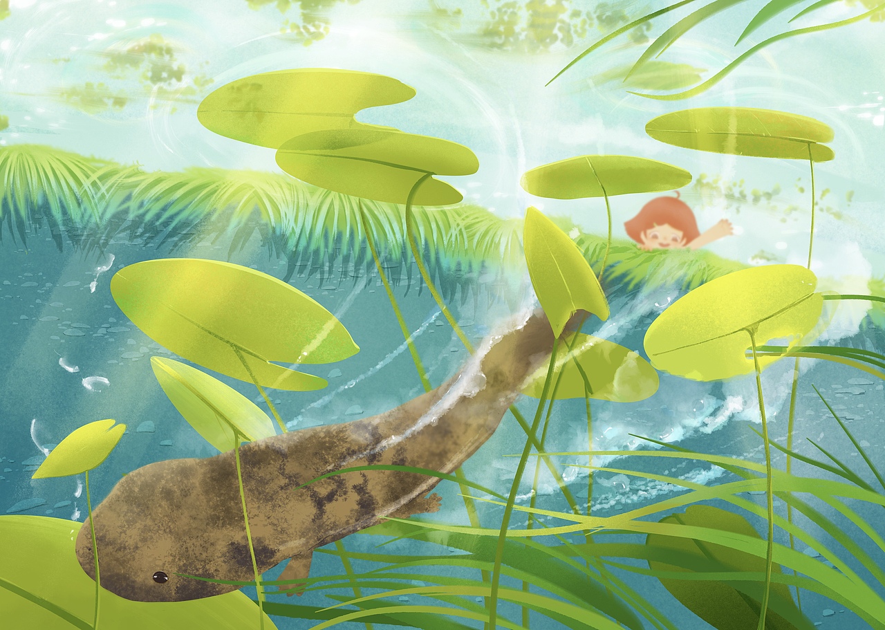 红豆豆的奇幻之旅（图ZMzE2NjIyMzQw） - 绘本 - 站酷设计师这很何里原创素材 - 站酷ZCOOL