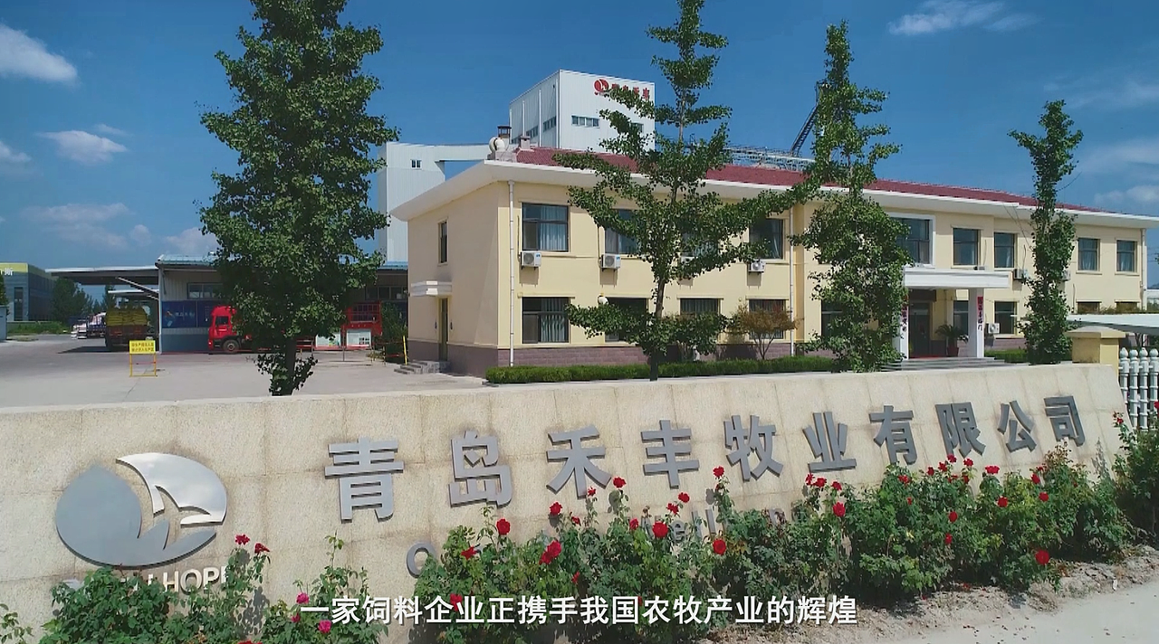 青岛禾丰牧业有限公司（图ZMzQ3MTMzODU2） - 宣传片 - 站酷设计师夕暮LLL原创素材 - 站酷ZCOOL