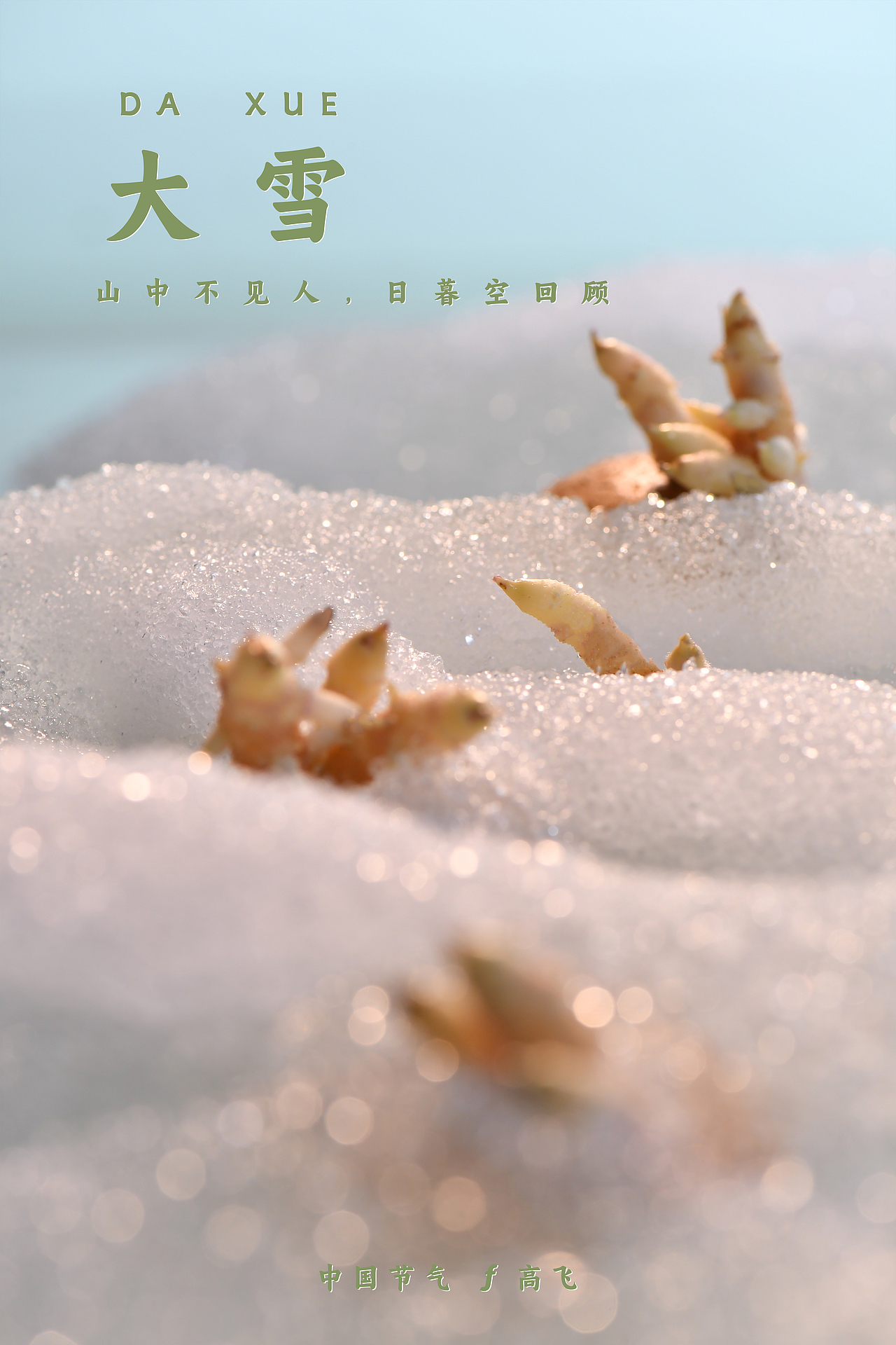 【中国节气】不言四时行 ——二十四节气 汇总合集