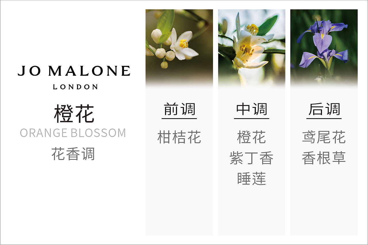 20个香水介绍卡（图ZMzY2MjI2MDg0） - 宣传物料 - 站酷设计师LZDDesign原创素材 - 站酷ZCOOL