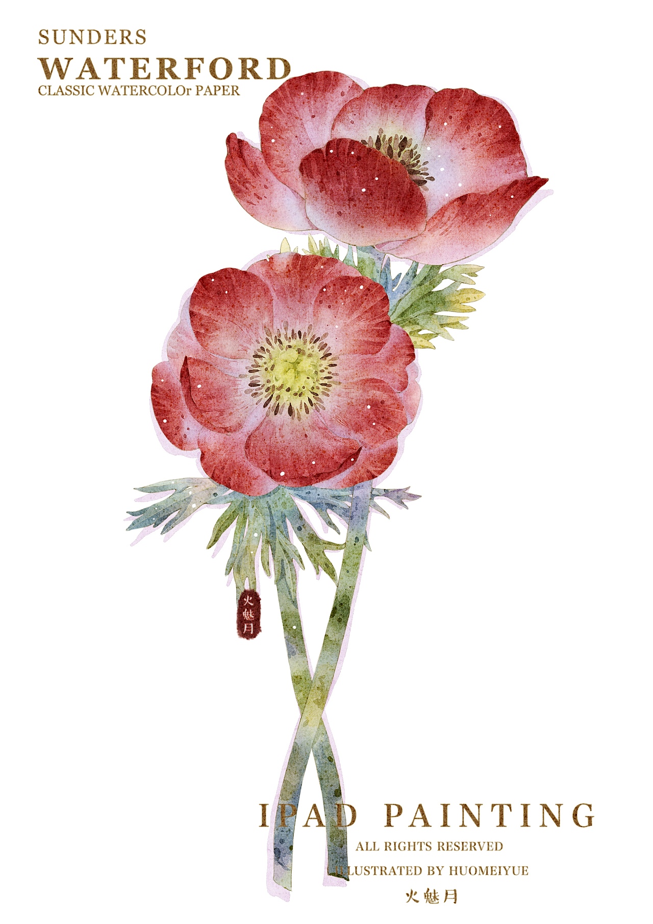 水彩花卉合集（图ZMzU3MDQ3ODE2） - 商业插画 - 站酷设计师火魅月月原创素材 - 站酷ZCOOL