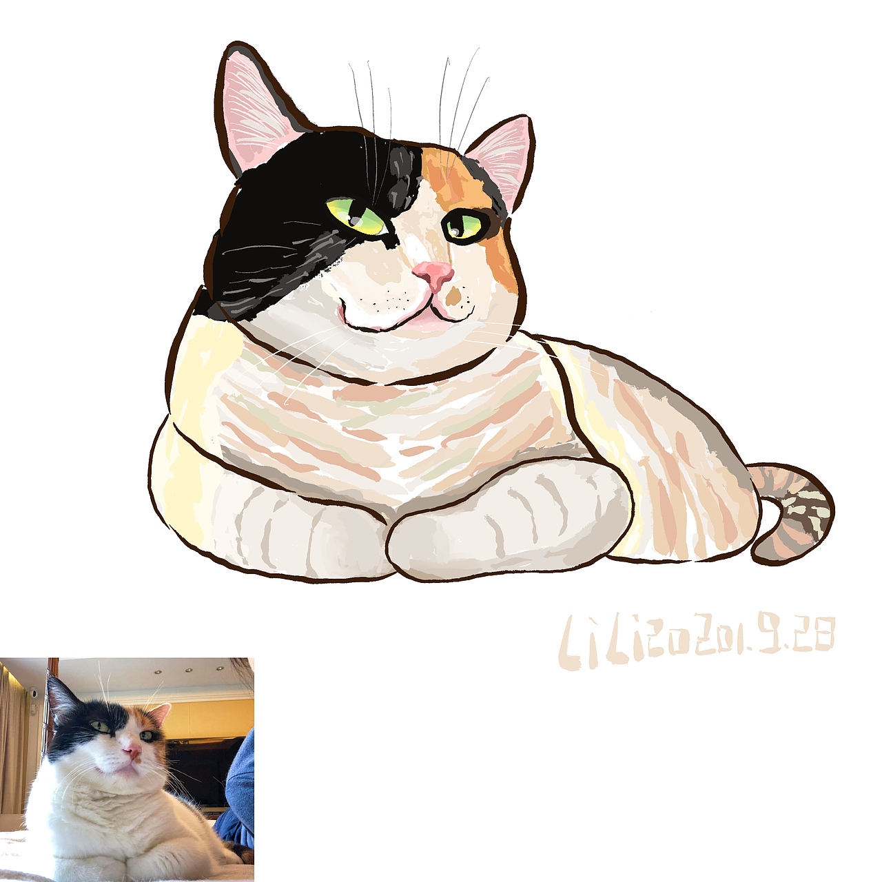 猫猫狗狗大合集（图ZMzY2OTkzMTk2） - 创作习作 - 站酷设计师Catmiaomiaomiao原创素材 - 站酷ZCOOL