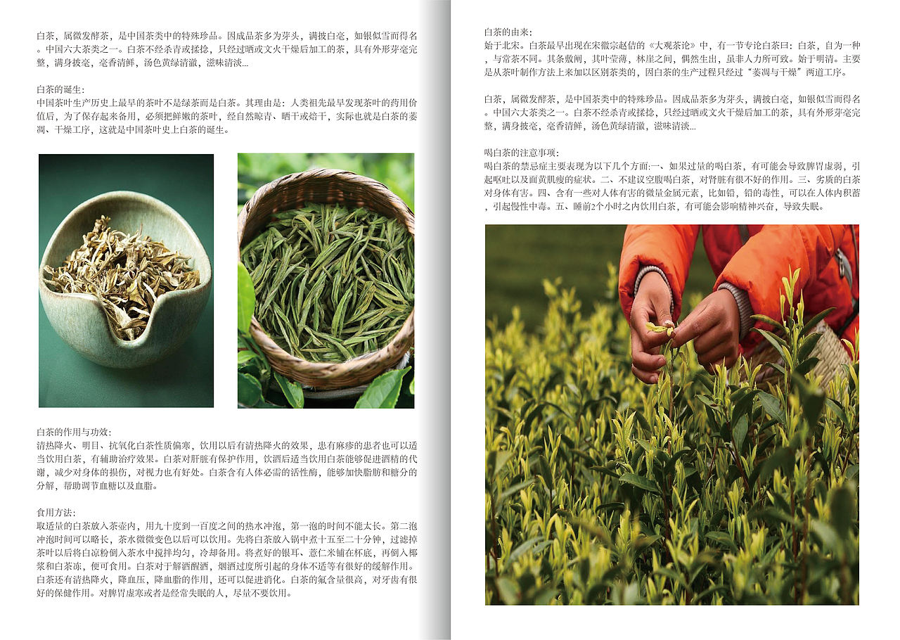 茶文化（图ZMzE5NjY1MjEy） - 书籍/画册 - 站酷设计师luo噜噜噜原创素材 - 站酷ZCOOL
