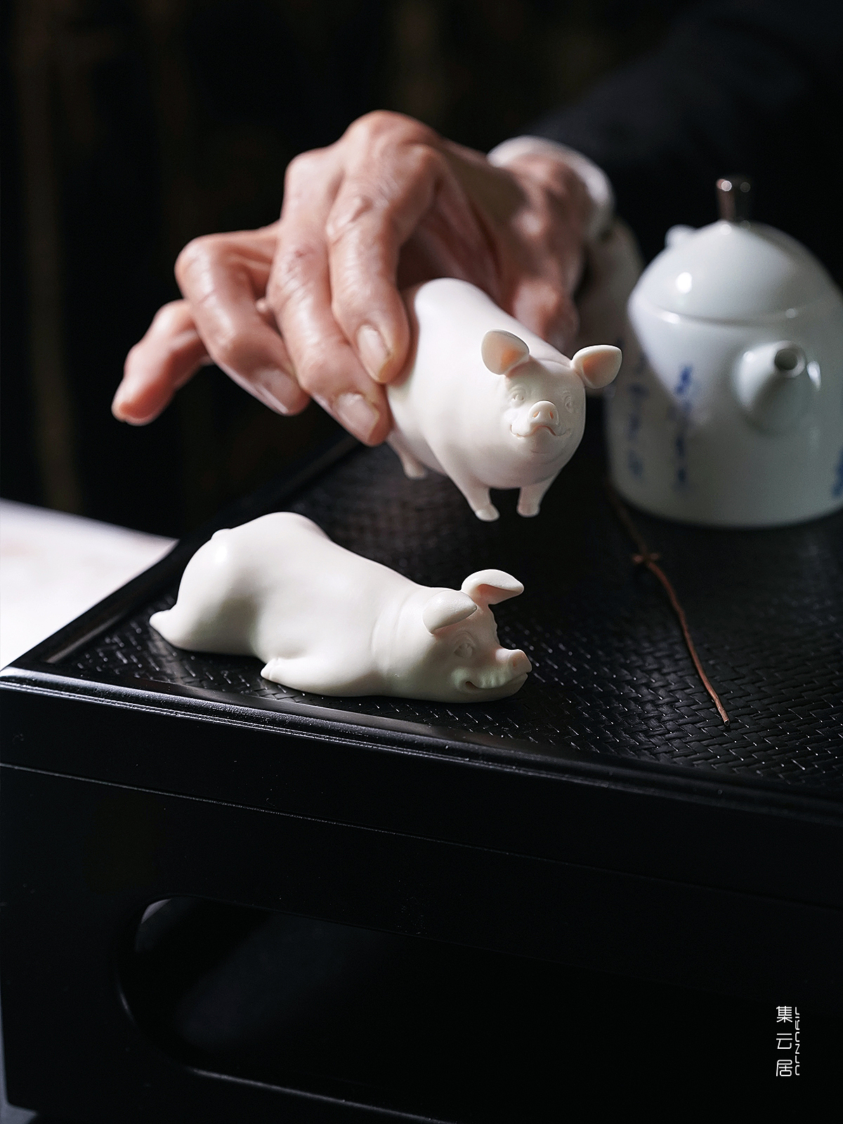 中国白·猪猪请趴好