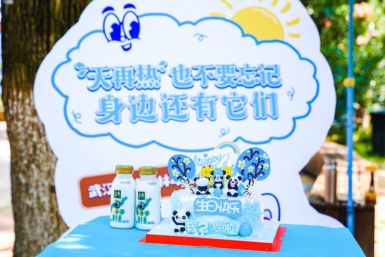 车子外包装这样设计,回头率超高的叭