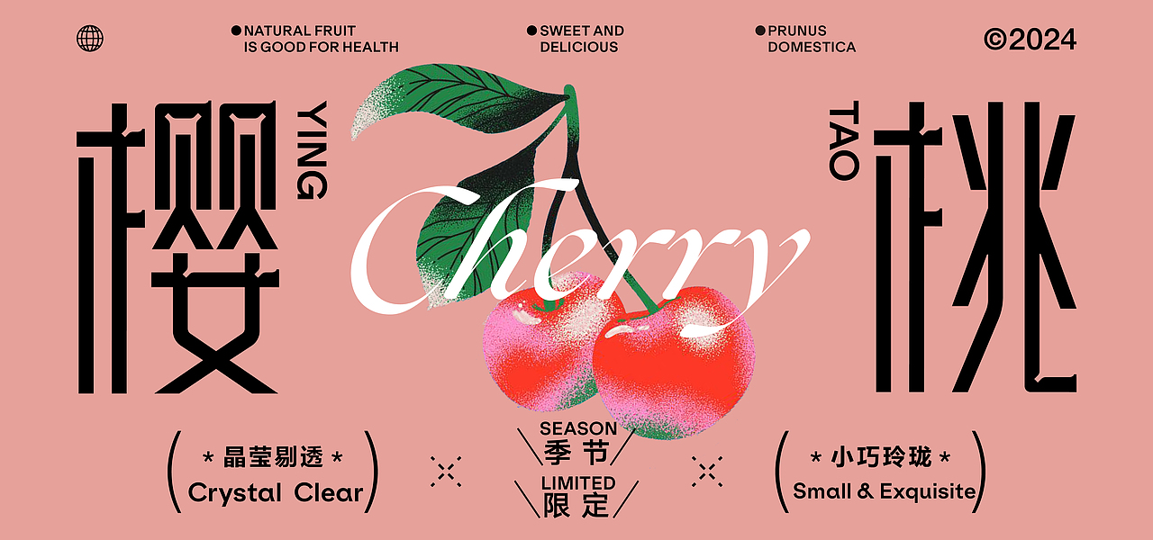 字体设计与版式丨Typography Vo.2