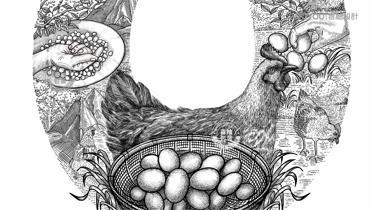 林溪谷土鸡蛋包装设计-五谷喂养,现捡现卖