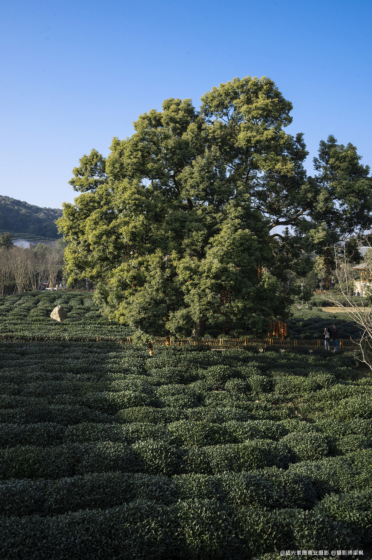 酒店环境拍摄/杭州珑璟酒店