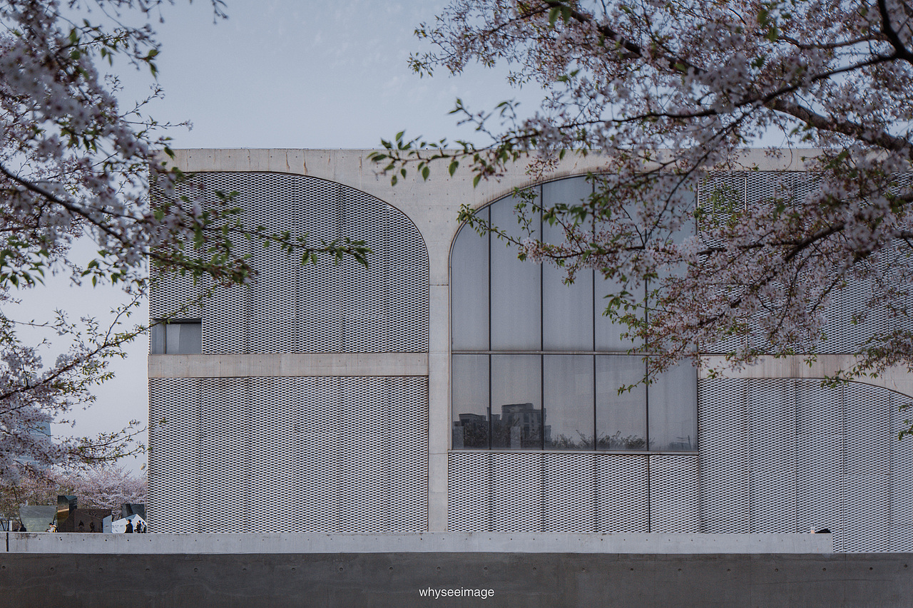 一片樱花在龙美旁落下 | 魔都建筑奇谭记（图ZMzAwODA2Njg0） - 环境/建筑摄影 - 站酷设计师whyseeimage原创素材 - 站酷ZCOOL