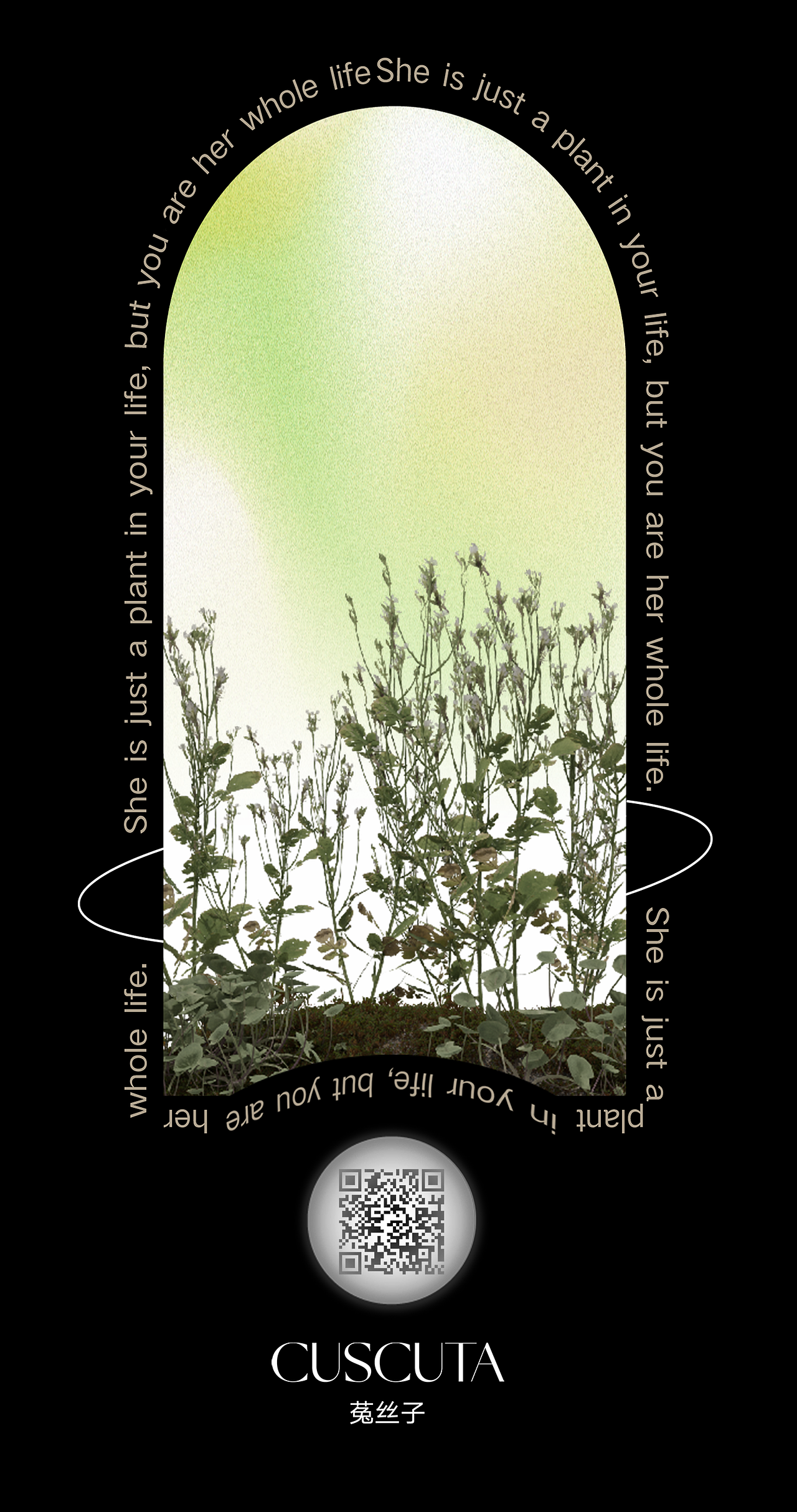 #2022青春答卷#彼岸花园-HANA TEXT